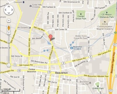 Google Map